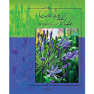 Notebook 96 sheets A5 grid - Life in color