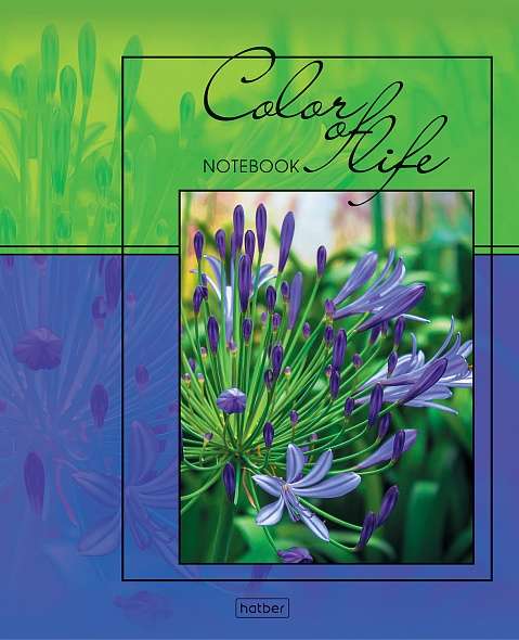 Notebook 96 sheets A5 grid - Life in color