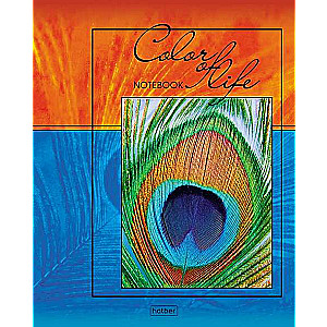 Notebook 96 sheets A5 grid - Life in color