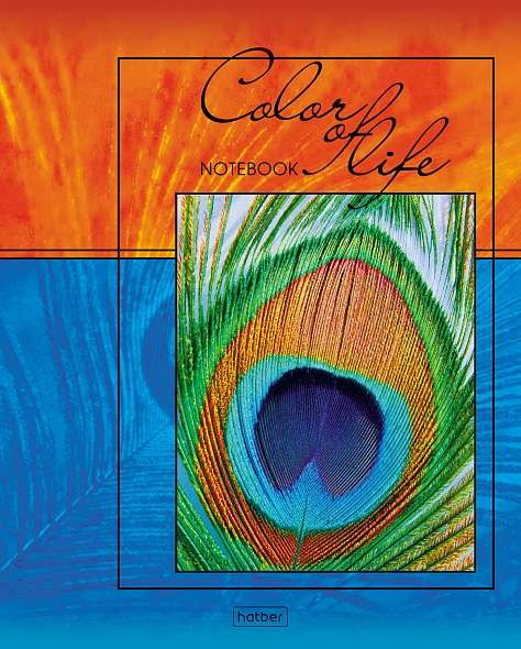 Notebook 96 sheets A5 grid - Life in color