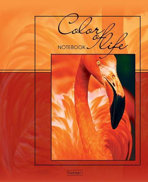 Notebook 96 sheets A5 grid - Life in color