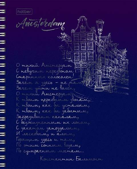Notebook 96 sheets A5 grid - Shine of capitals