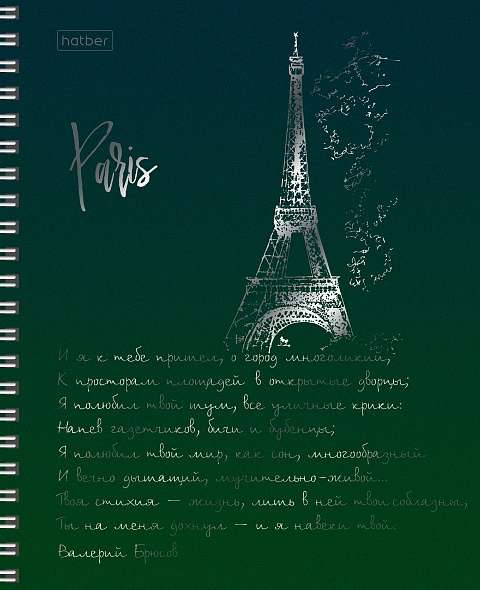 Notebook 96 sheets A5 grid - Shine of capitals