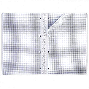 Notebook 96 sheets A4 grid - Tropical leaves