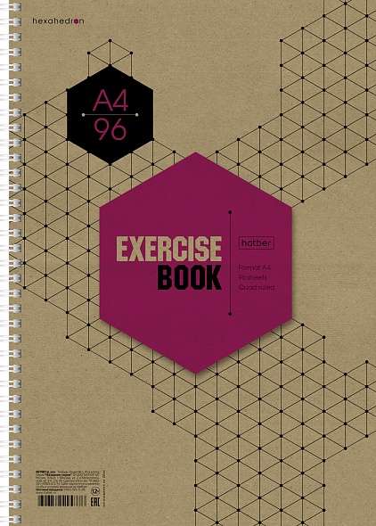 Notebook 96 sheets A4 format grid - Graphics