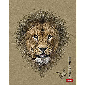 Notebook 96 sheets A5 format - View