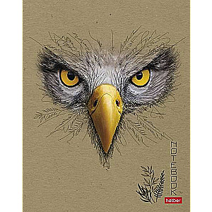 Notebook 96 sheets A5 format - View