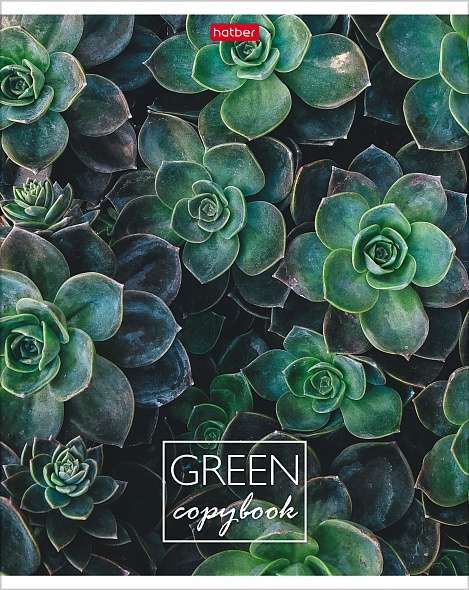 Notebook 96 sheets A5 - MOREgreen