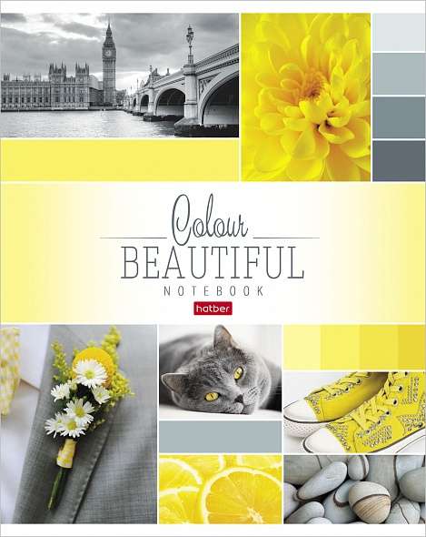 Notebook 96 sheets A5 grid - Beautiful colour