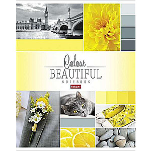 Notebook 96 sheets A5 grid - Beautiful colour