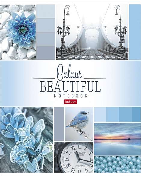 Notebook 96 sheets A5 grid - Beautiful colour