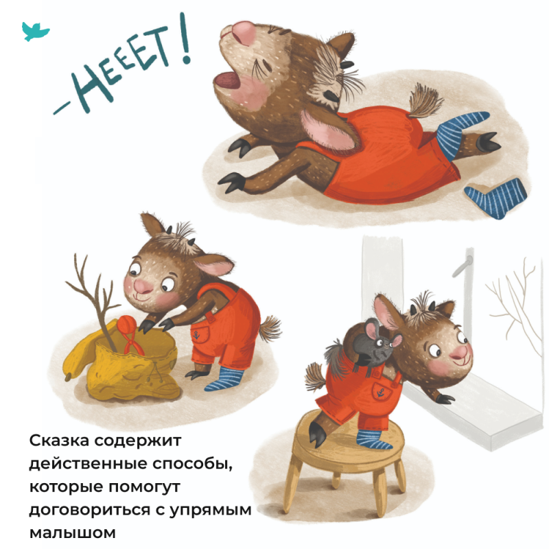 About Kozy, who answered NO to everything!