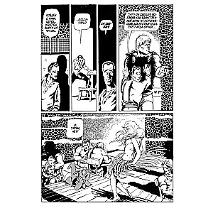 Cereb. Volume 1