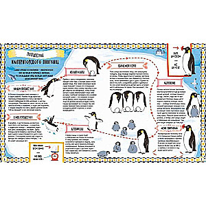 Where the Penguins Go