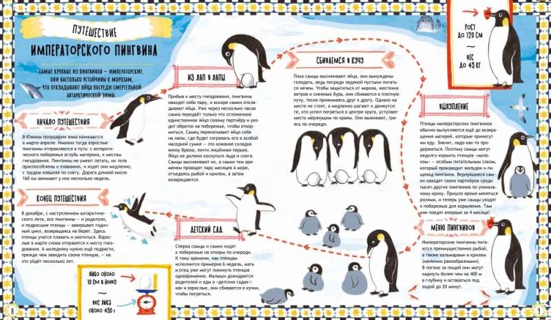 Where the Penguins Go