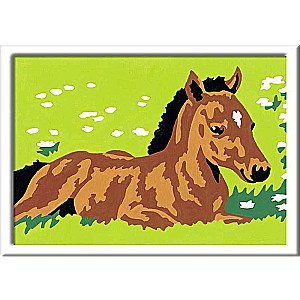 Paint by Numbers 12x8.5cm Foal