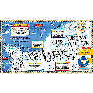 Where the Penguins Go