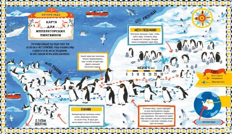 Where the Penguins Go