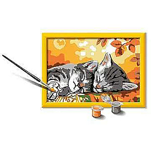 Picture by numbers 13X18cm Gray Kittens