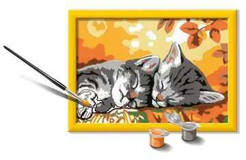 Picture by numbers 13X18cm Gray Kittens