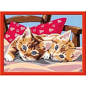 Picture by Numbers 18X24cm Two Ginger Kittens