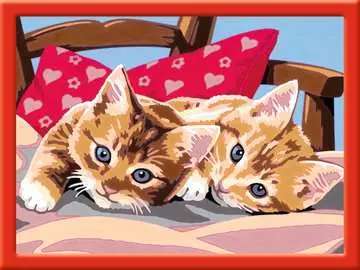 Picture by Numbers 18X24cm Two Ginger Kittens