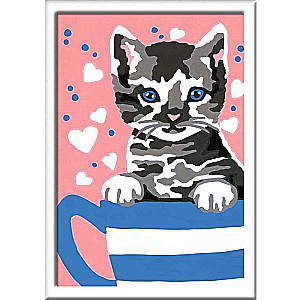 Painting by Numbers 8.5x 12 cm Kitten