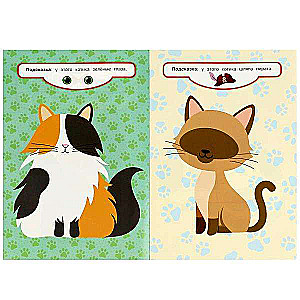 Kittens. Come Up with a Pet. 50 Stickers