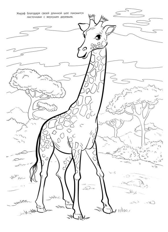 Mega Coloring. Animals.