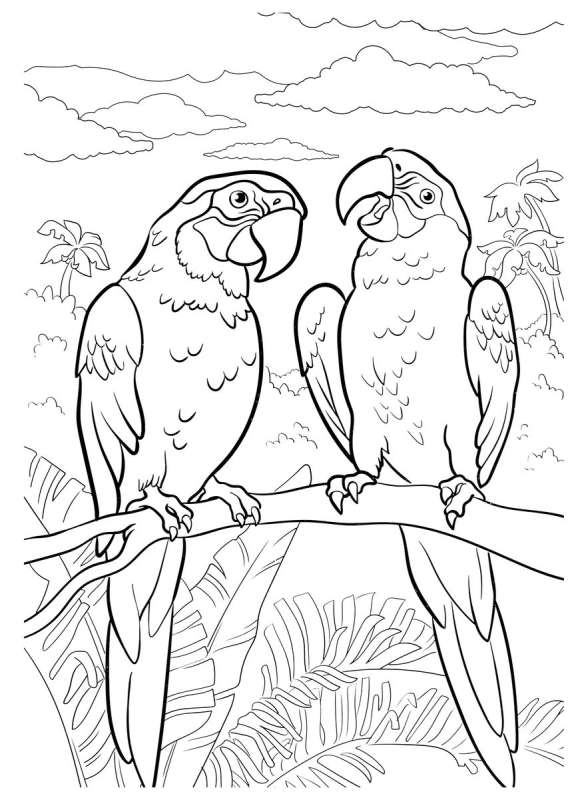 Mega Coloring. Animals.