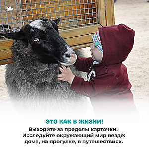 The World in the Palm of Your Hand. Educational Cards. Domestic Animals and Musical Instruments