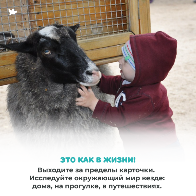 The World in the Palm of Your Hand. Educational Cards. Domestic Animals and Musical Instruments