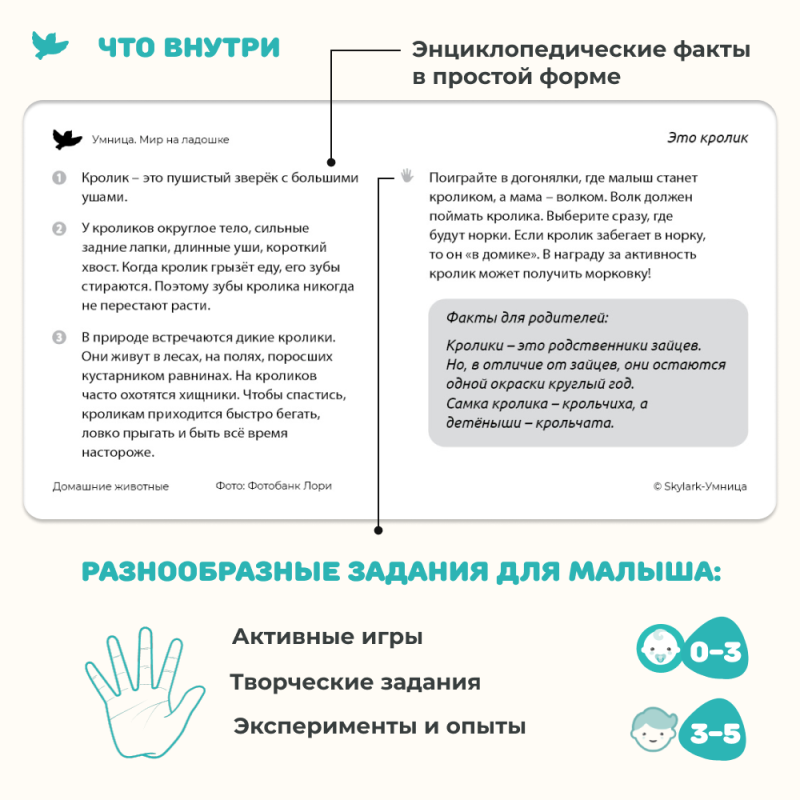 The World in the Palm of Your Hand. Educational Cards. Domestic Animals and Musical Instruments