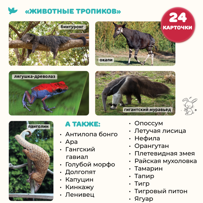 Children's Encyclopedia in Photographs. Tropical Animals and Nature Records