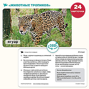 Children's Encyclopedia in Photographs. Tropical Animals and Nature Records