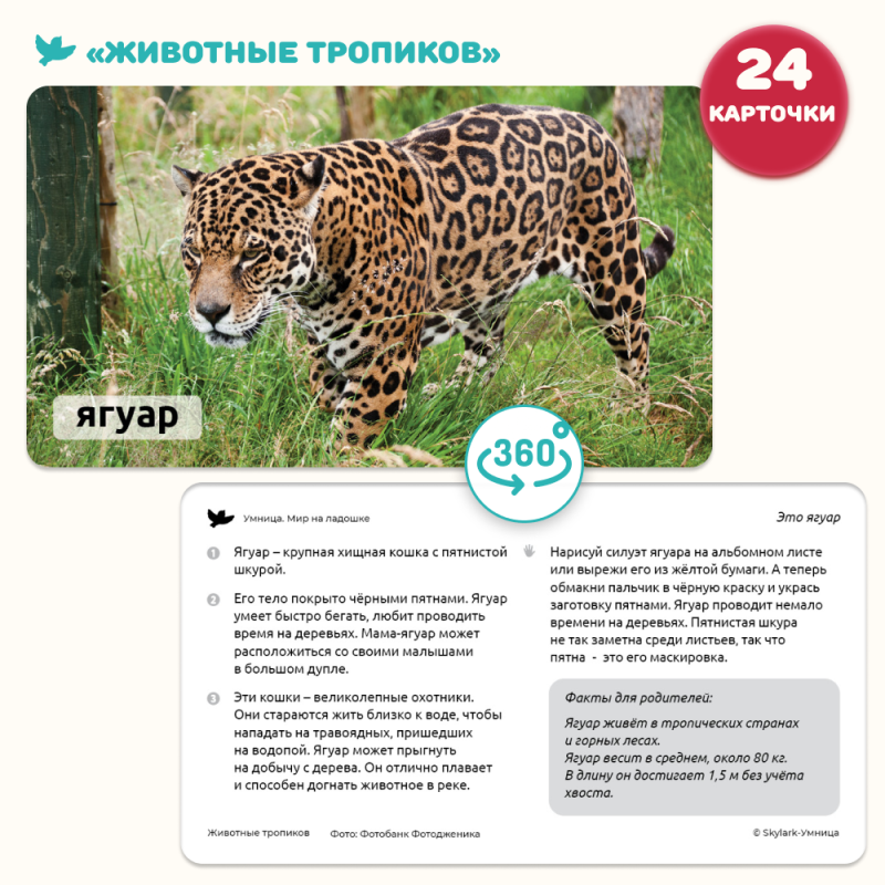 Children's Encyclopedia in Photographs. Tropical Animals and Nature Records