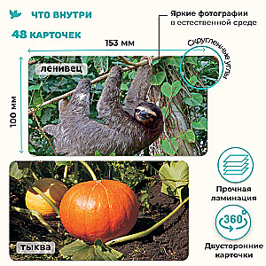 Children's Encyclopedia in Photographs. Tropical Animals and Nature Records