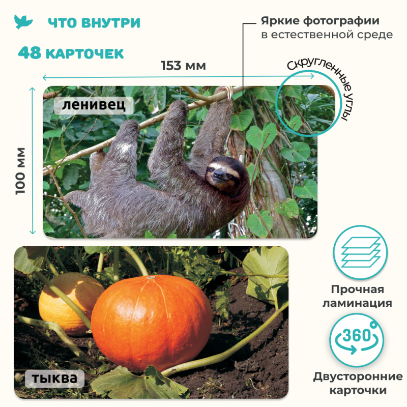 Children's Encyclopedia in Photographs. Tropical Animals and Nature Records