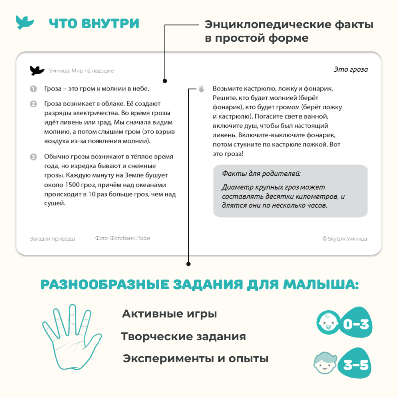 The World in the Palm of Your Hand. Development Cards for Toddlers. Nature Riddles and Special Machinery
