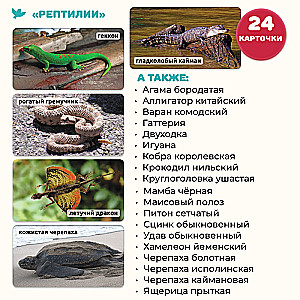 The World in the Palm of Your Hand. Educational cards and games for children. Reptiles
