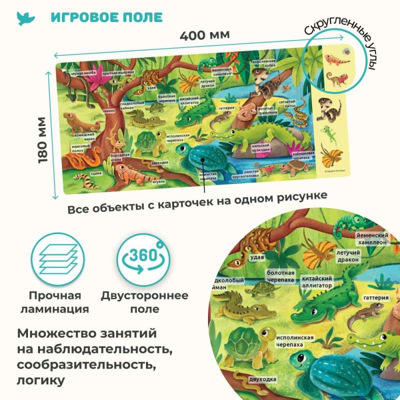 The World in the Palm of Your Hand. Educational cards and games for children. Reptiles