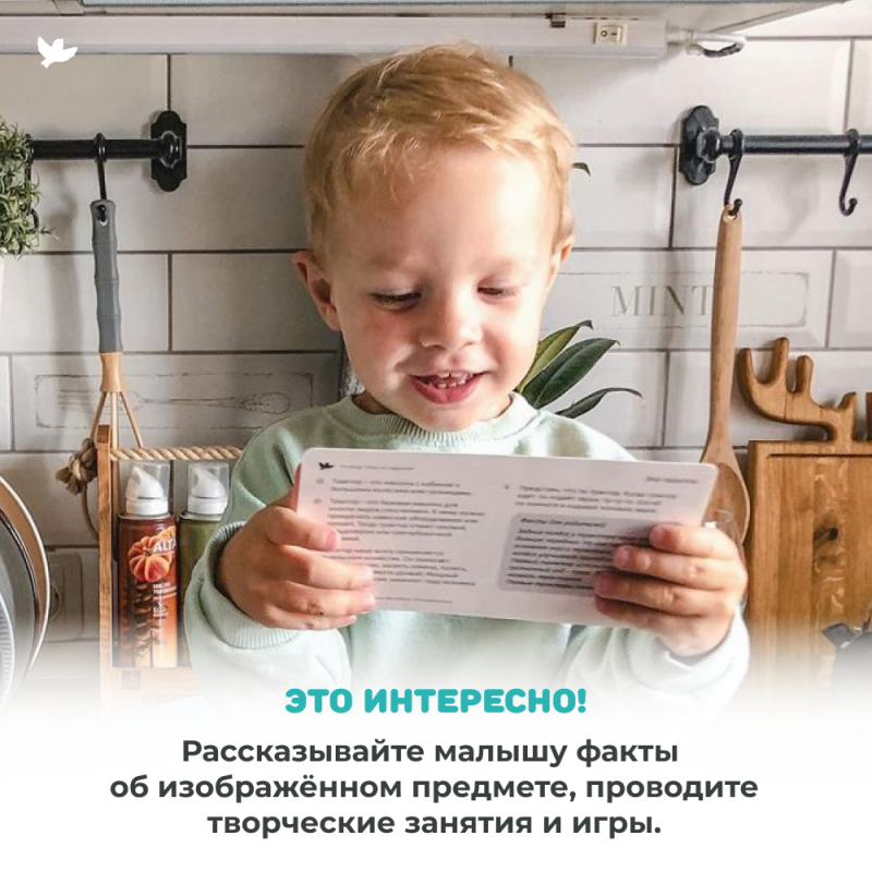 World in the Palm of Your Hand. Encyclopedia for Children in Photographs. Inventions and Fish and More