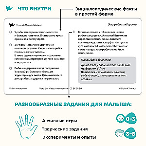 World in the Palm of Your Hand. Encyclopedia for Children in Photographs. Inventions and Fish and More