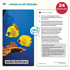 World in the Palm of Your Hand. Encyclopedia for Children in Photographs. Inventions and Fish and More