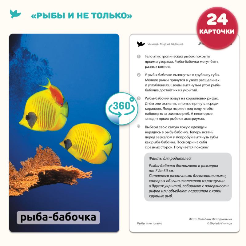 World in the Palm of Your Hand. Encyclopedia for Children in Photographs. Inventions and Fish and More