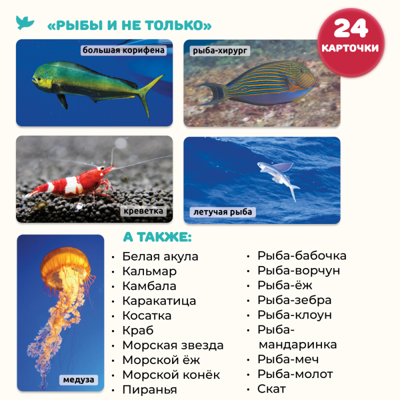 World in the Palm of Your Hand. Encyclopedia for Children in Photographs. Inventions and Fish and More