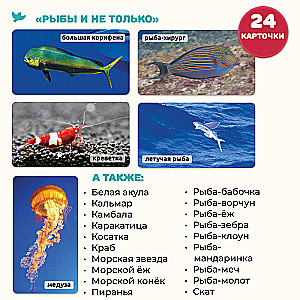 World in the Palm of Your Hand. Encyclopedia for Children in Photographs. Inventions and Fish and More