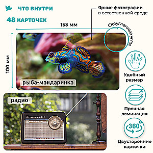 World in the Palm of Your Hand. Encyclopedia for Children in Photographs. Inventions and Fish and More