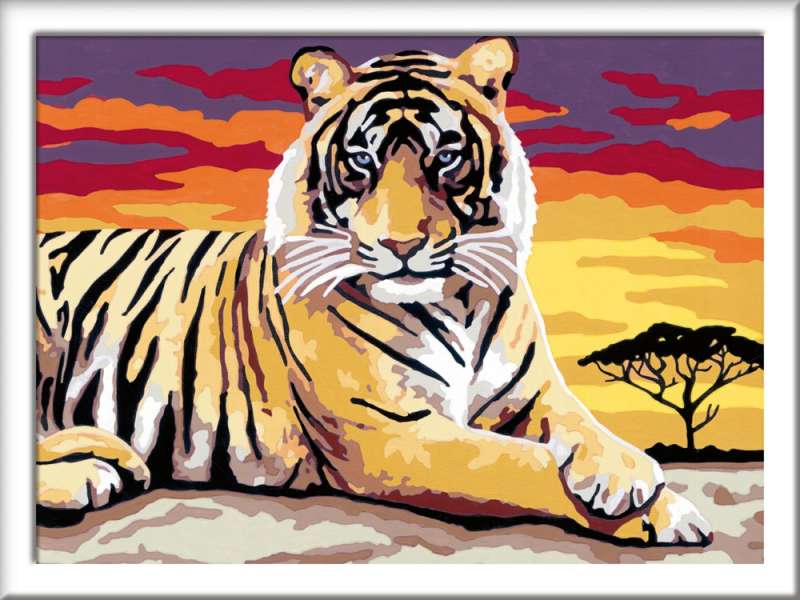 Numbered Painting 18X24cm Tiger