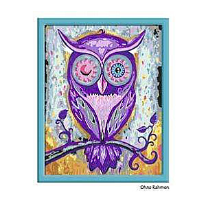 Paint by Numbers 30X24cm Owl